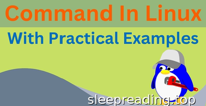 exec, xargs