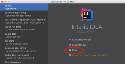 Intellij